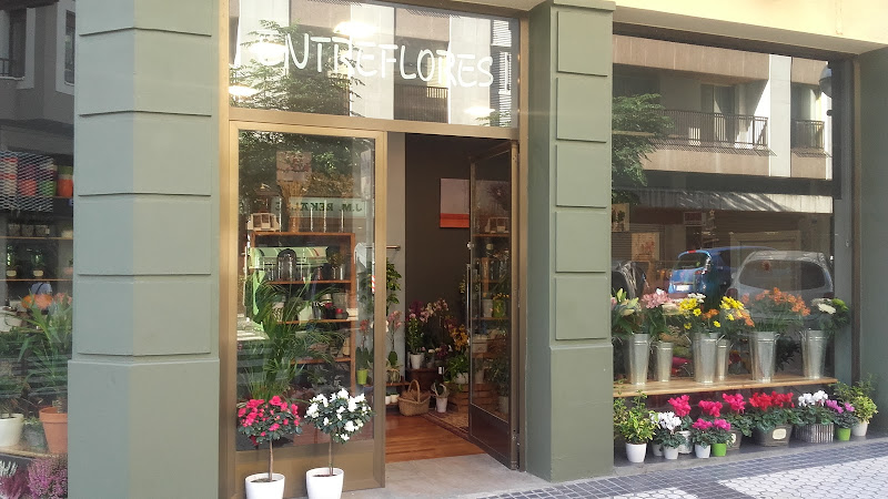 Entreflores