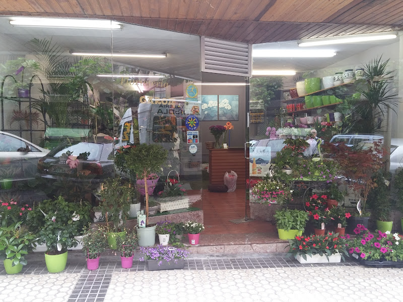 Floristería Garoa