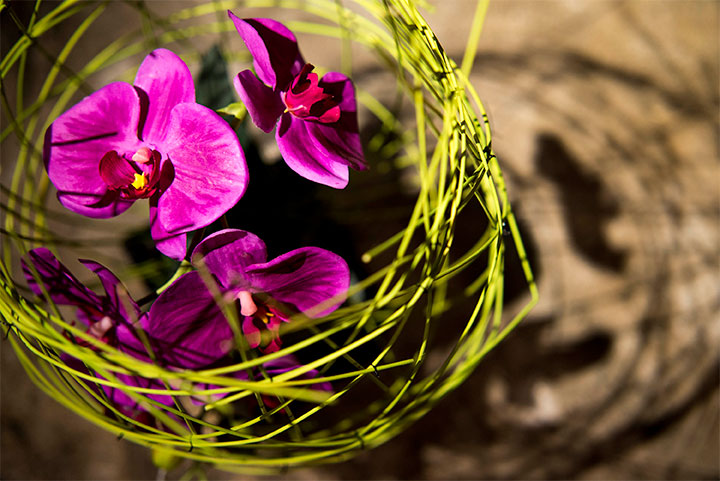 Floristería Kaiz
