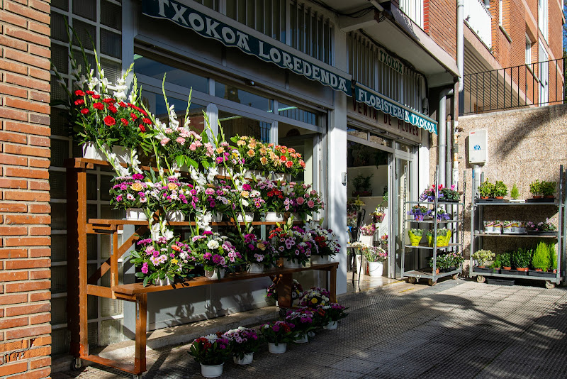 Floristería Txokoa